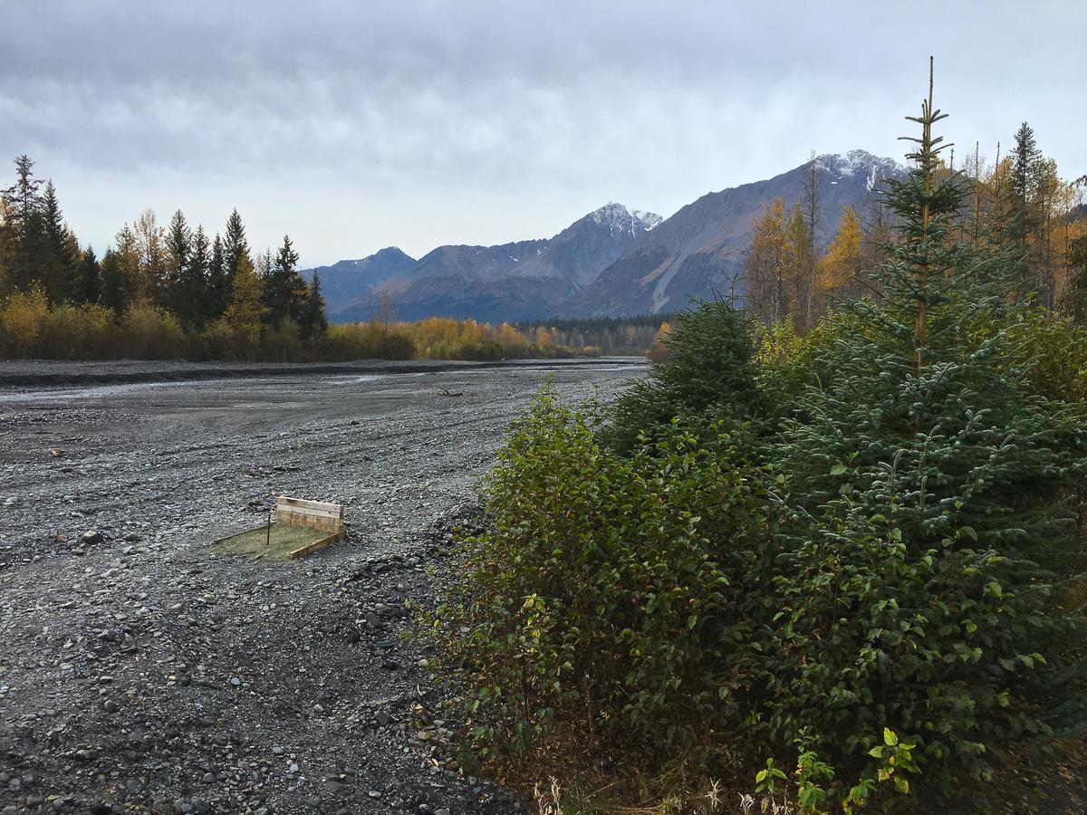 Glacier Creek Cabins Seward Dış mekan fotoğraf