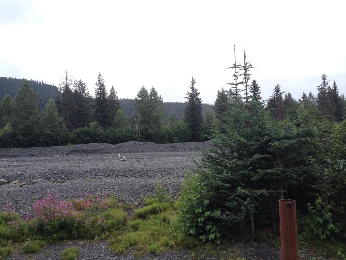 Glacier Creek Cabins Seward Oda fotoğraf
